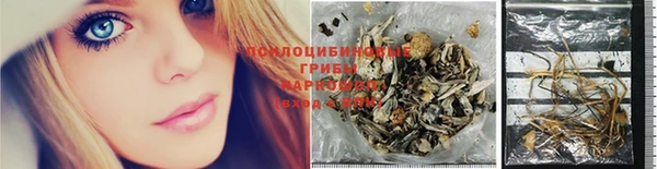 скорость Алексин