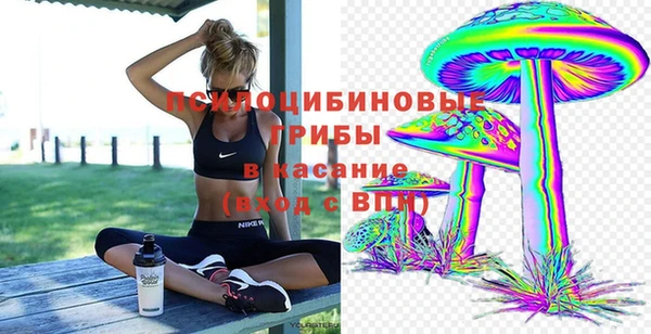 скорость Алексин