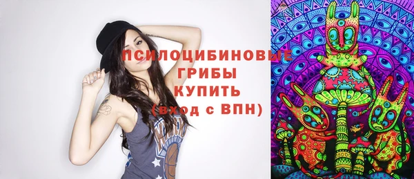 скорость Алексин