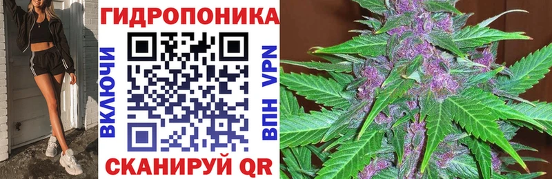 Бошки Шишки планчик  мориарти наркотические препараты  Елец 